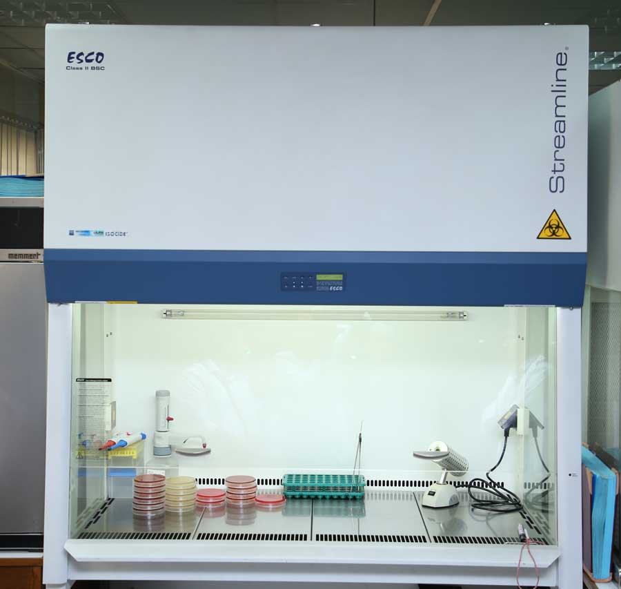 <p>https://www.populardiagnostic.com</p>